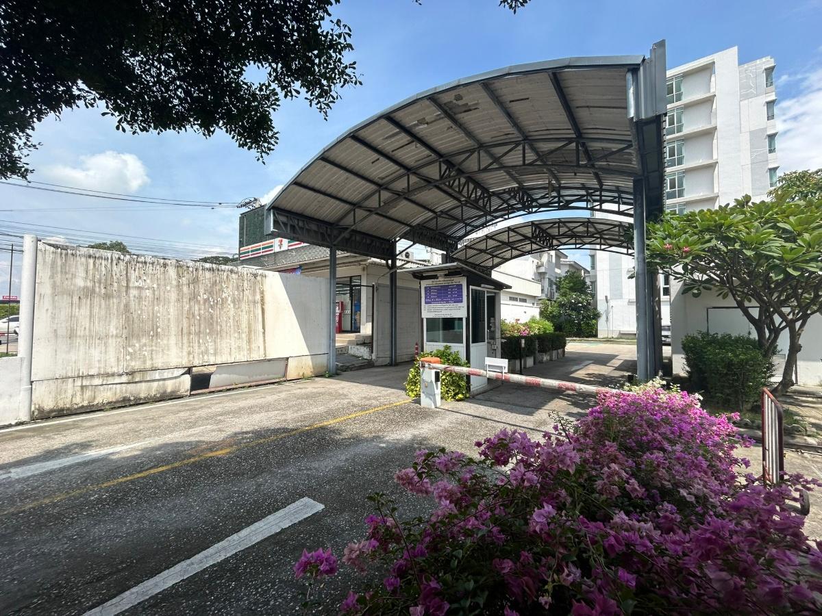รูป JK2 3389696 : เด็น วิภาวดี DEN Vibhavadi - รูปที่ 4/19
