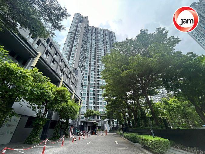 รูป JK 5168427 : เดอะ เบส พาร์ค เวสต์ สุขุมวิท 77 - รูปที่ 11/13