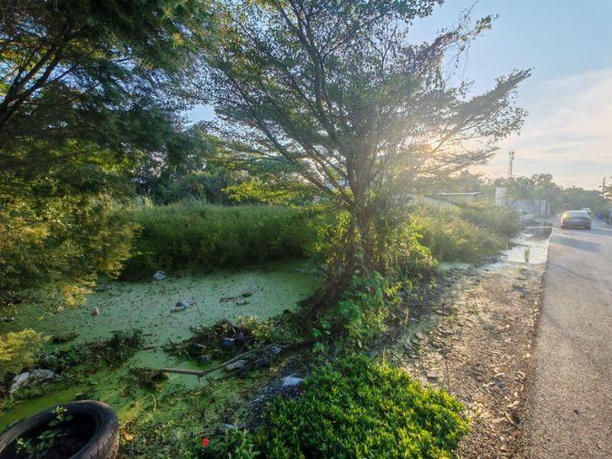 รูป ที่ดิน บางใหญ่ นนทบุรี ซอยหมู่บ้านเคหะการเกษตร 43 - รูปที่ 3/7