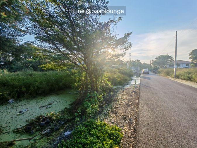 รูป ที่ดิน บางใหญ่ นนทบุรี ซอยหมู่บ้านเคหะการเกษตร 43 - รูปที่ 4/7