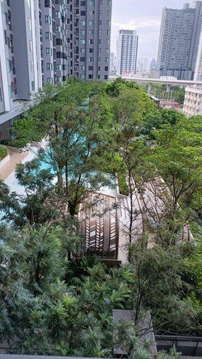 picture For Sales   Life Sathorn Sierra 99/185 - 14/16