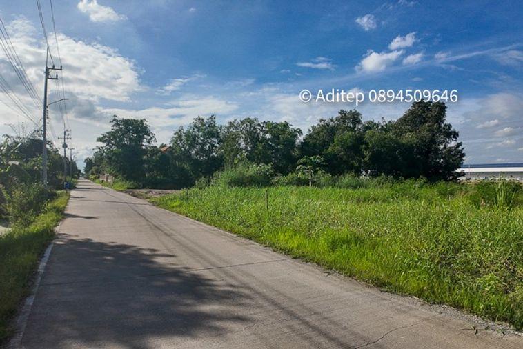 รูป ขายด่วน! ที่ดินสีม่วง 197 ตรว. ใกล้ถนน 346 ในซอยกำนันวิรัตน์ คูขวางไทยซอย 4 คูบางหลวง ลาดหลุมแก้ว ปทุมธานี - รูปที่ 19/20