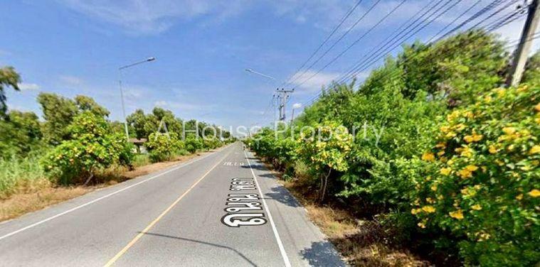 รูป ขายที่ดินระยอง โซนหาดพลา ใกล้สนามบินนานาชาติอู่ตะเภา - รูปที่ 1/3
