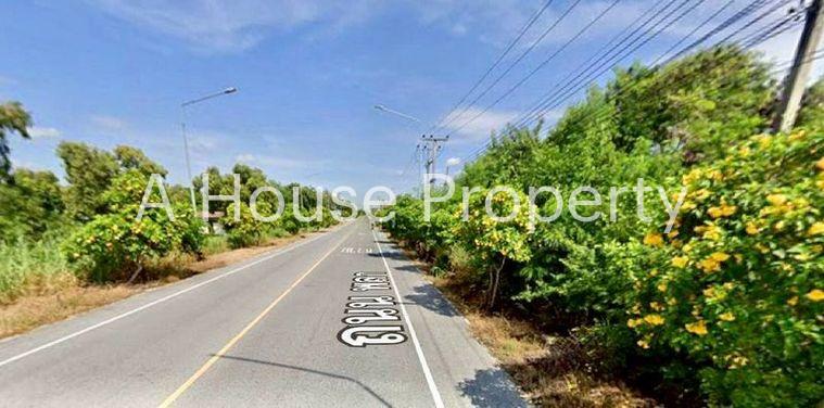 รูป ขายที่ดินระยอง โซนหาดพลา ใกล้สนามบินนานาชาติอู่ตะเภา - รูปที่ 1/3