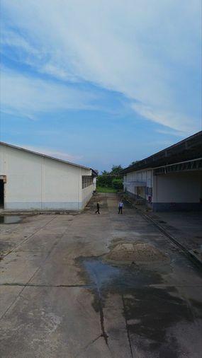 รูป โรงงานพร้อมใช้ พร้อมประกอบกิจการต่อได้เลย ติดถนนสายหลัก  ทุ่งคอก สองพี่น้อง สุพรรณบุรี   - รูปที่ 2/11