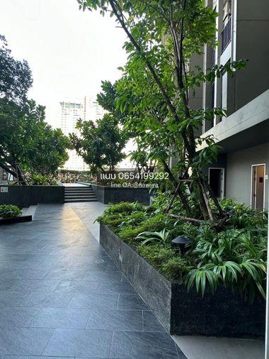 รูป 🍃OwPim091225🍃 The Niche Pride Thonglor - Phetchaburi ( เดอะ นิช ไพรด์ ทองหล่อ-เพชรบุรี ) - รูปที่ 15/22
