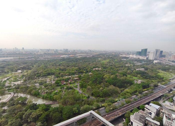 picture The Line Jatuchak. 1bed 34sq.m. Line id: @pfagent - 12/12