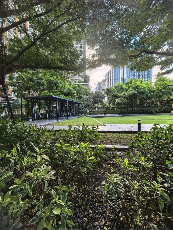 รูป Condo for Rent: Artemis Sukhumvit 77 Near BTS On Nut - รูปที่ 17/30