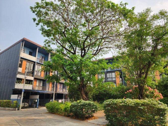 รูป บ้านดีไซน์น่ารัก ใกล้ส่วนกลาง วิวสวน ใกล้รถไฟฟ้าศรีรัช ! HAUS 35 - รูปที่ 21/26