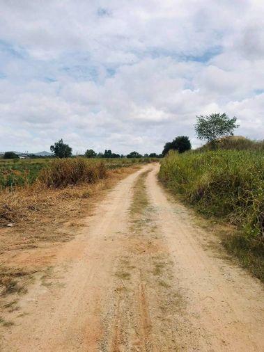 รูป ขายที่ดินติดโรจนะ ปลวกแดง มาบยางพร ระยอง  - รูปที่ 4/10