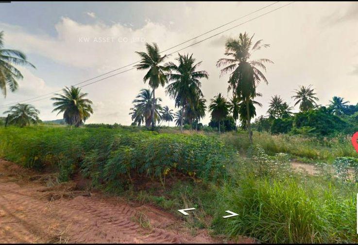 รูป ขายที่ดินห้วยใหญ่ พัทยา แปลงสวย  ใกล้ถนนพัทยา-มาบตาพุด  - รูปที่ 2/4