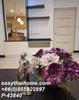listing thumbnail image 4