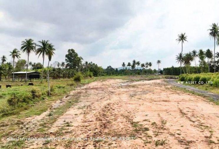 รูป ขายที่ดินห้วยใหญ่ พัทยา แปลงสวย  ใกล้ถนนพัทยา-มาบตาพุด  - รูปที่ 1/4