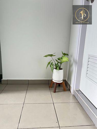 picture 🎈#OL2308_059🎈💥Urgent💥 Guaranteed availability! Click quickly before it's gone‼️ For Rent 1️⃣2️⃣k.🔥🔥 Regent Home Wutthakat Condo - 14/15