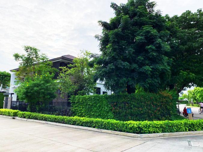รูป 🏠 ขายบ้าน : Mantana Kalapapruek - Wongwaen (มัณฑนา กัลปพฤกษ์-วงแหวน)   รหัสทรัพย์ | 📌LNP-H724 - รูปที่ 3/43