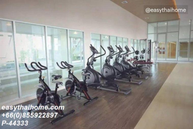 picture P-44333 Condo for sell The Trust BTS Erawan fully furnished with tenant - 3/9