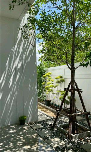 รูป ให้เช่าบ้านเดี่ยวโปร่งโล่ง Double Space! 4 นอน 4 น้ำ ทุ่งมังกร 10 ตลิ่งชัน เฟอร์ฯ ครบพร้อมอยู่ Please add LINE ID @806qphgn o8415o5483  - รูปที่ 12/19