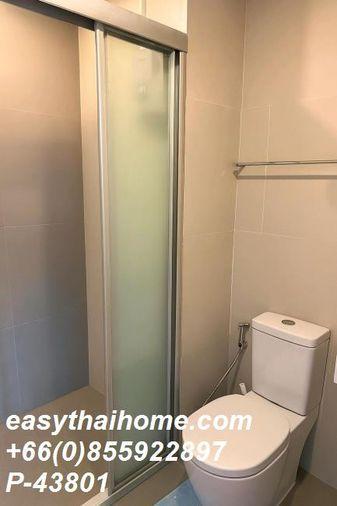 รูป P-43801 ต้องการขายคอนโด ลุมพินี เพลส รัชดา - สาธุ Sathu Pradit 27 Alley, Chong Nonsi, Yan Nawa, Bangkok Line Id @easythaihome 085-592-2897 - รูปที่ 2/11