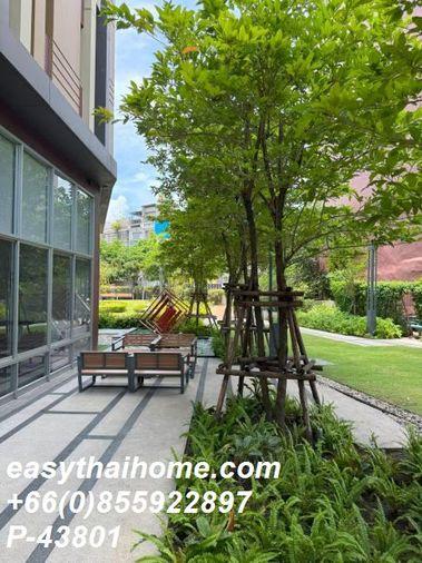 รูป P-43801 ต้องการขายคอนโด ลุมพินี เพลส รัชดา - สาธุ Sathu Pradit 27 Alley, Chong Nonsi, Yan Nawa, Bangkok Line Id @easythaihome 085-592-2897 - รูปที่ 8/11