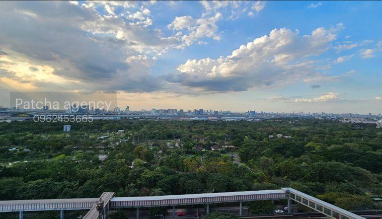 รูป ว่างพร้อมอยู่! The Line จตุจักร . 1นอน 35ตร.ม. Line id: @pfagent - รูปที่ 10/10