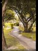 listing thumbnail image 36