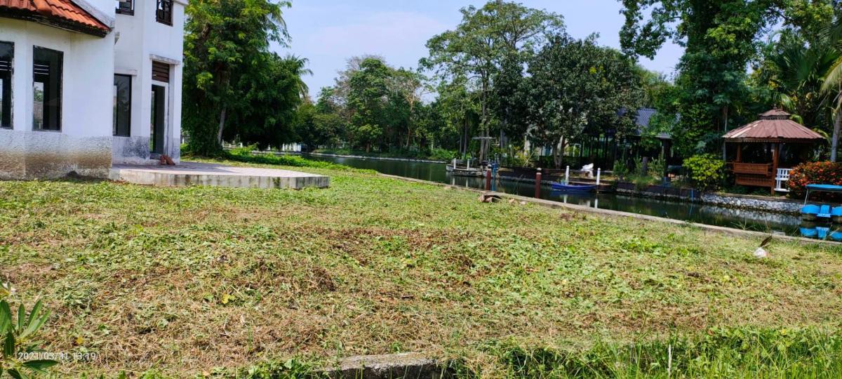 รูป  บ้านพร้อมที่ดินริมแม่น้ำนครชัยศรี – บรรยากาศสงบ ร่มรื่น เหมาะกับการพักผ่อนอย่างแท้จริง ราคาขายเพียง 5,000,000 บาทเท่านั้น! - รูปที่ 7/8