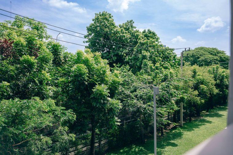 รูป 🏢 ขายคอนโด : Elio Sukhumvit 64 (เอลลิโอ สุขุมวิท 64)   รหัสทรัพย์ | 📌LNP-C11397 - รูปที่ 12/14
