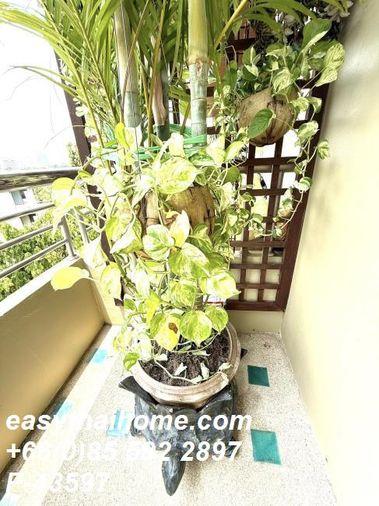รูป P-43597 วิวเมืองสวย 2 นอน สุพรีม วิลล์ ใกล้ MRT! สุพรีม วิลล์ 56,000 บาท Line Id: @easythaihome 085-592-2897 - รูปที่ 26/38