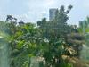 listing thumbnail image 9