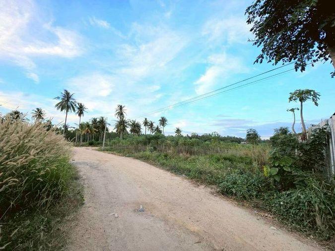 รูป ขายที่ดินแปลงสวย เส้นเขาไม้แก้ว-ตะเคียนเตี้ย บางละมุง ชลบุรี  - รูปที่ 5/9