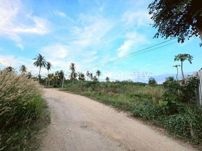 รูป ขายที่ดินแปลงสวย เส้นเขาไม้แก้ว-ตะเคียนเตี้ย บางละมุง ชลบุรี - รูปที่ 5/9