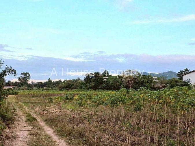 รูป ขายที่ดินแปลงสวย เส้นเขาไม้แก้ว-ตะเคียนเตี้ย บางละมุง ชลบุรี - รูปที่ 1/9