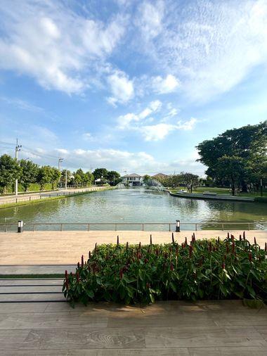 รูป ขายบ้านเดี่ยว มัณฑนา เพชรเกษม สาย4 หลังใหญ่ บิ้วอินสวย ราคาพิเศษ - รูปที่ 48/55