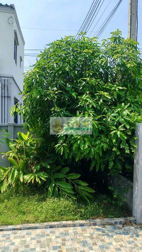 รูป 🏠 ขายบ้าน : Pleno Phaholyothin - Rangsit (พลีโน่ พหลโยธิน - รังสิต) รหัสทรัพย์ | 📌LNP-H785 - รูปที่ 29/35