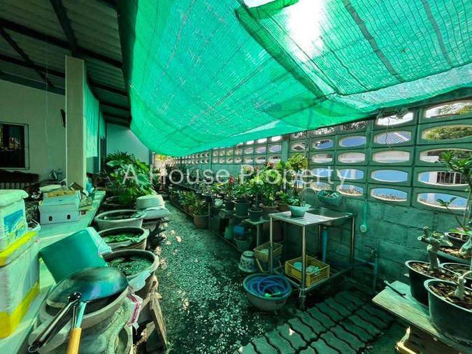 รูป ขายบ้านเดี่ยวชั้นเดี่ยว สภาพดีมาก เขตพัทยา บางละมุง ชลบุรี - รูปที่ 3/16