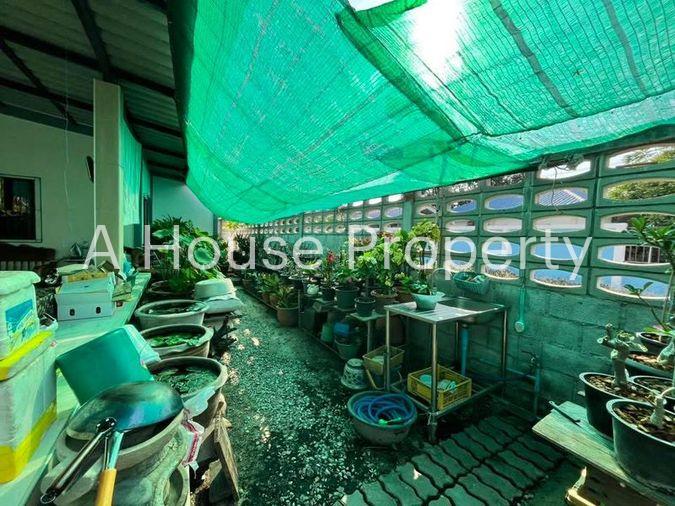รูป ขายบ้านเดี่ยวชั้นเดี่ยว สภาพดีมาก เขตพัทยา บางละมุง ชลบุรี - รูปที่ 3/16