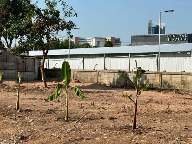 picture Land for sale in Sriracha, near Sukhumvit Road, opposite Sriracha District Office, Chonburi. - 7/14