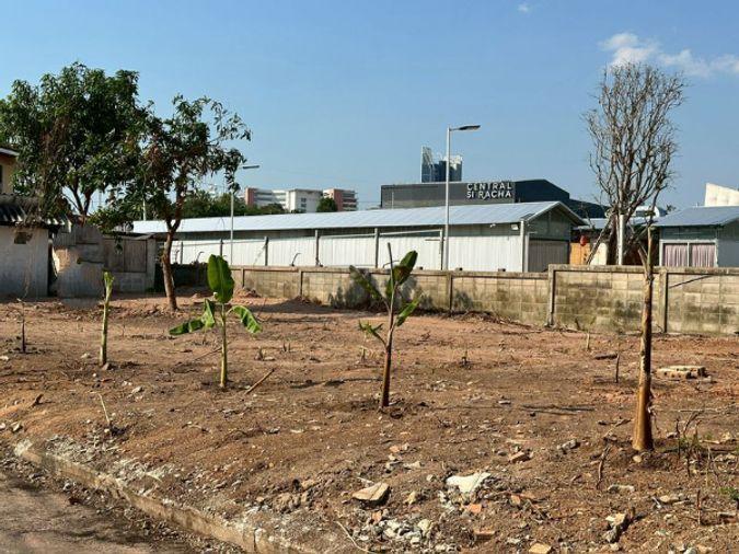 picture Land for sale in Sriracha, near Sukhumvit Road, opposite Sriracha District Office, Chonburi. - 8/14