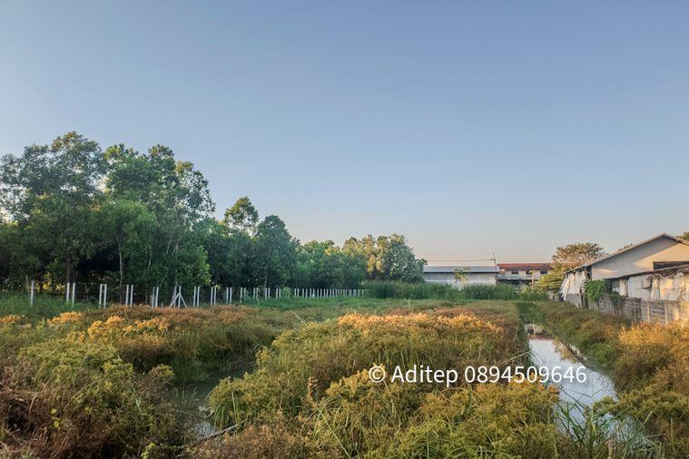 picture Land for sale, Soi Bongkot 59, Khlong Song, Pathum Thani, size 2 rai, on a concrete road, good location, suitable for developing into a warehouse - 14/18