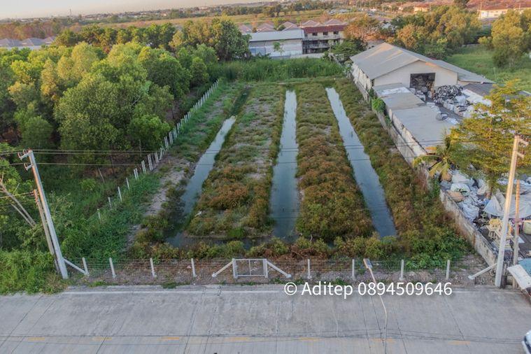 picture Land for sale, Soi Bongkot 59, Khlong Song, Pathum Thani, size 2 rai, on a concrete road, good location, suitable for developing into a warehouse - 1/18