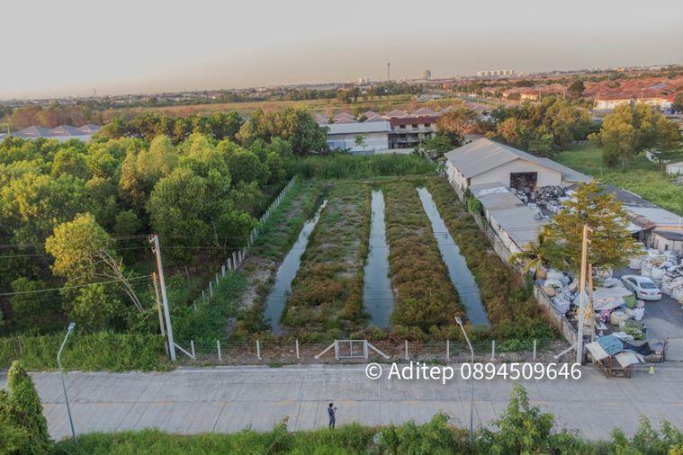 picture Land for sale, Soi Bongkot 59, Khlong Song, Pathum Thani, size 2 rai, on a concrete road, good location, suitable for developing into a warehouse - 7/18
