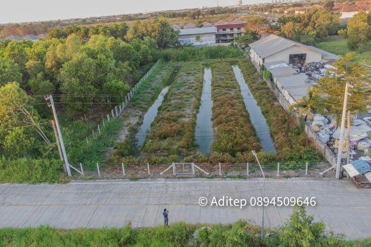 picture Land for sale, Soi Bongkot 59, Khlong Song, Pathum Thani, size 2 rai, on a concrete road, good location, suitable for developing into a warehouse - 4/18