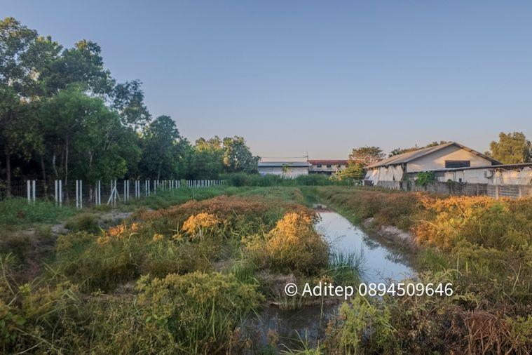 picture Land for sale, Soi Bongkot 59, Khlong Song, Pathum Thani, size 2 rai, on a concrete road, good location, suitable for developing into a warehouse - 15/18
