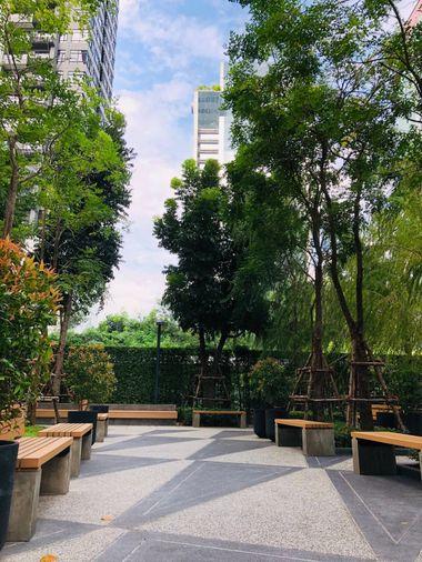 picture For rent Noble Revolve Ratchada 2  Ready to move in (DSL2182) - 10/17