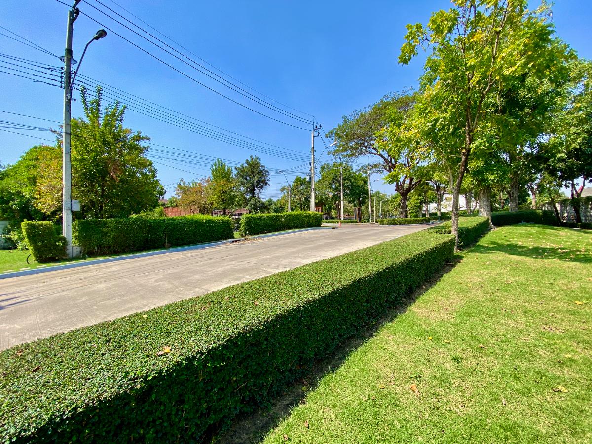 รูป 🏡 ให้เช่าบ้านเดี่ยวหรู หลังมุม โครงการ The City พัฒนาการ เฟส 1 (Pet Friendly) - รูปที่ 39/44