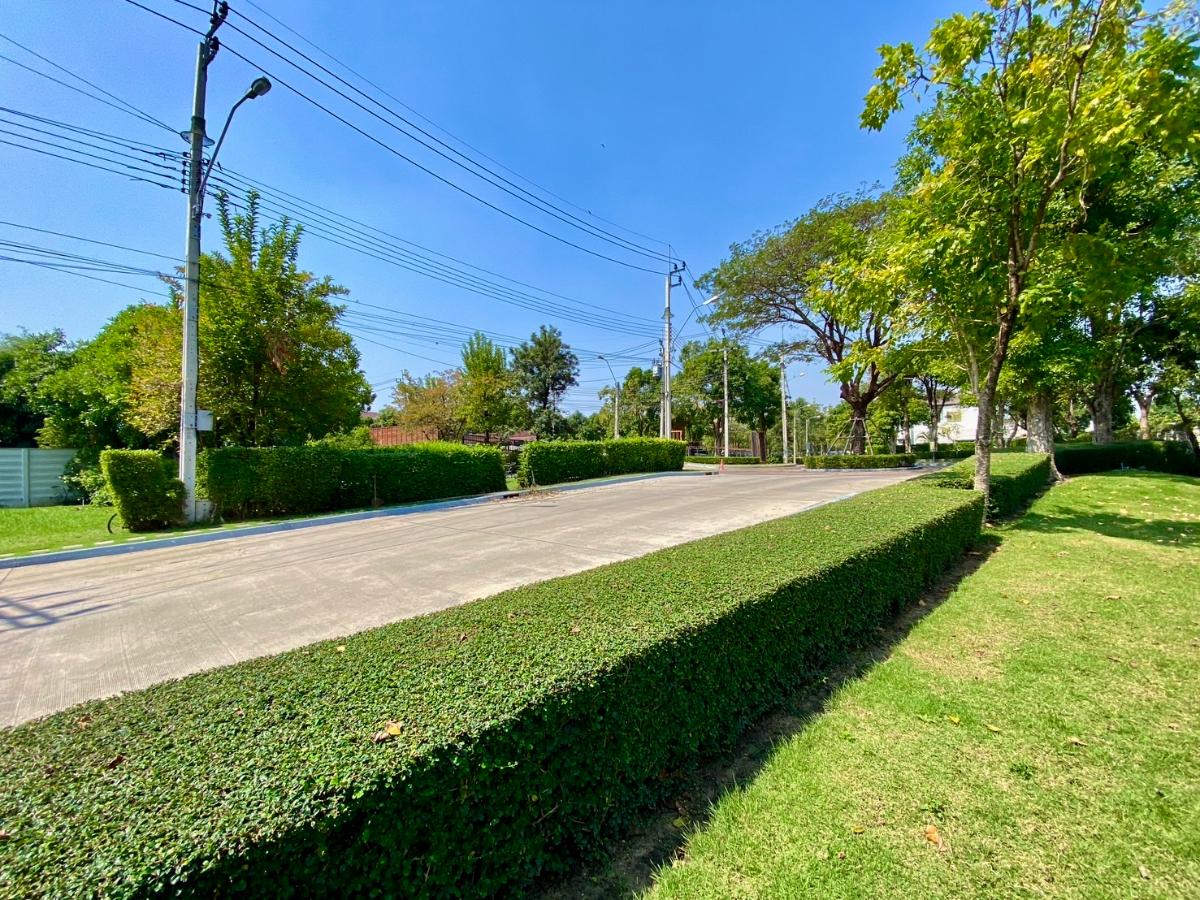 รูป 🏡 ให้เช่าบ้านเดี่ยวหรู หลังมุม โครงการ The City พัฒนาการ เฟส 1 (Pet Friendly) - รูปที่ 42/44