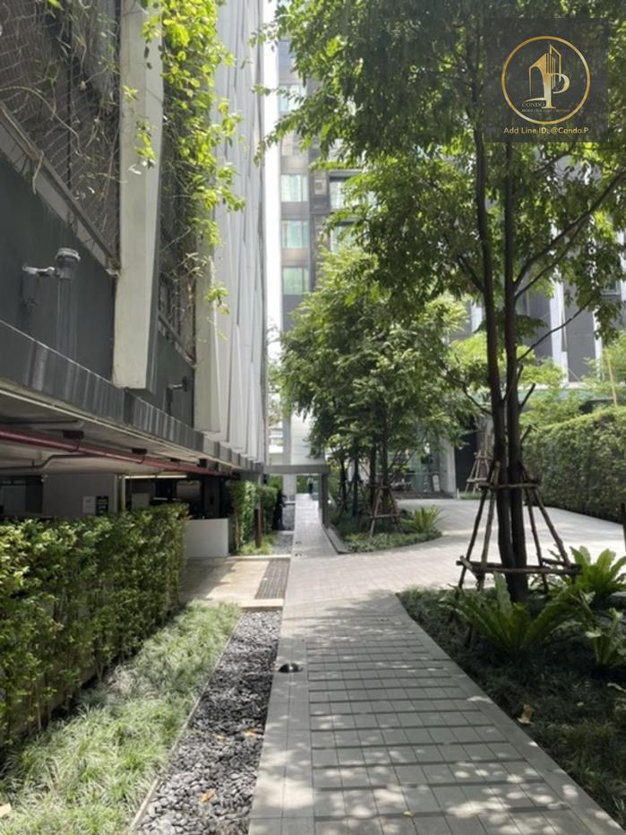 picture 🎈#PT2412_036🎈💥Urgent💥 Guaranteed availability! Click quickly before it's gone‼️ For Rent 26k.🔥🔥 Edge by Sansiri Sukhumvit 23 Condo - 12/13