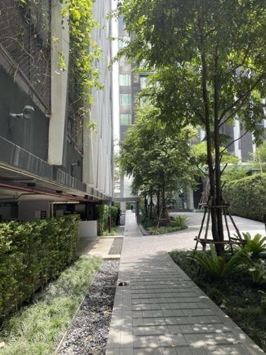 picture 🎈#PT2412_036🎈💥Urgent💥 Guaranteed availability! Click quickly before it's gone‼️ For Rent 26k.🔥🔥 Edge by Sansiri Sukhumvit 23 Condo - 12/13