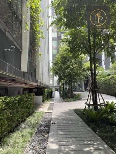 picture 🎈#PT2412_036🎈💥Urgent💥 Guaranteed availability! Click quickly before it's gone‼️ For Rent 26k.🔥🔥 Edge by Sansiri Sukhumvit 23 Condo - 12/13