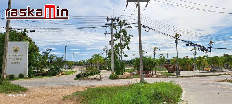รูป KT0217📲LineID @556ryccg🏘️ขายที่ดินติดถนนทุ่งกลม-ตาลหมัน 219ตรว ใกล้วัดสามัคคีประชาราม, อ่างเก็บน้ำชากนอก ถมแล้ว ติดถนน - รูปที่ 7/7